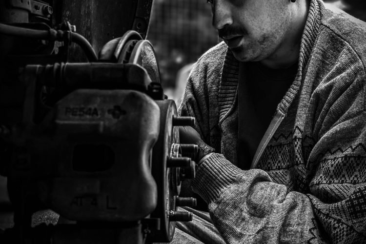 pexels-muffinlandge-17574328